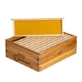thumbnail image 4 of BeeCastle Caja Super Media para Colmena de 10 Marcos con Cera, 4 of 6