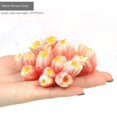 thumbnail image 2 of Planta de coral artificial para pecera, adorno decorativo para arrecife de acuario (coral surtido de 5 piezas), adornos de coral de poliresina, 2 of 5