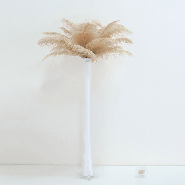  ZUCKER Ostrich Feathers for Centerpieces - Wedding Decorations  - Bulk Feathers for Crafts, 1/4 Pound (Approx 60 pcs), 13-16 inch, Beige :  Arts, Crafts & Sewing