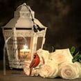 thumbnail image 3 of Cherished Memories Red Cardinal Acrylic Heart - Sympathy Memorial Gift Classic Style Table Centerpiece For Loss Of Loved One Birthday Gift Sentimental Gift Thank You Gift, 3 of 5