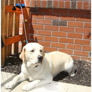 Open Box Lixit Bracket Mount Retractable Tie Out Reel for Dogs 31-79 lbs