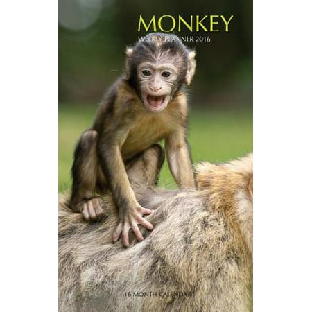 Monkeys Calendar - Monkey Weekly Planner 2016 : 16 Month Calendar