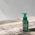 thumbnail image 5 of Bath and Body Works Water Melon Slices Gentle & Clean Foaming Hand Soap 8.75 fl oz / 259 mL, 5 of 5