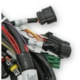 thumbnail image 3 of Holley EFI 558-110 Engine Wiring Harness, 3 of 3
