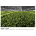 thumbnail image 4 of Ki Matcha 30g (1 oz) - Organic Premium Ceremonial Japanese Matcha Green Tea Powder - Zero Sugar - First Harvest - USDA Certified, 4 of 11