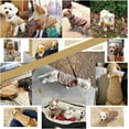thumbnail image 3 of STGRGFHY Dog Clothes Dogs Sweater Soft Puppies Clothing Winter Puppy Sweaters Warm Outfit for Dogs Small Cat Apparel,All Seasons Dog Vest For Small Medium Dog,Khaki dog shirt sweater XS, 3 of 8