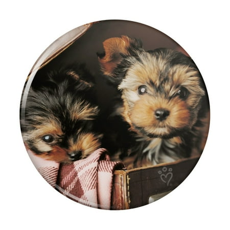 

Yorkie Yorkshire Terrier Dogs Puppies in Briefcase Suitcase Kitchen Refrigerator Locker Button Magnet