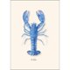 thumbnail image 2 of Set de 8 tarjetas de notas Earth Sky + Water – Langosta, 2 of 4