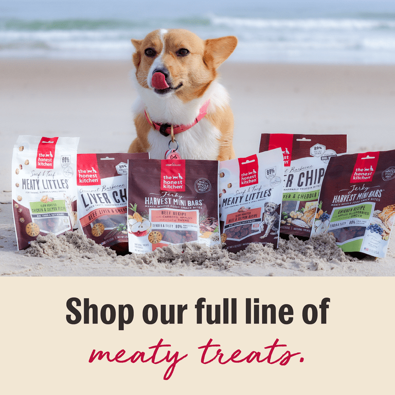 Slow-Cooked Salmon Jerky Dog Treats, Human Grade photo 5