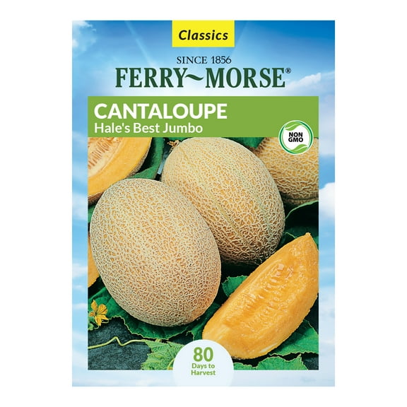 Ferry-Morse 1.8G Cantaloupe Hale's Best Jumbo Annual Fruit Seeds, Full Sun
