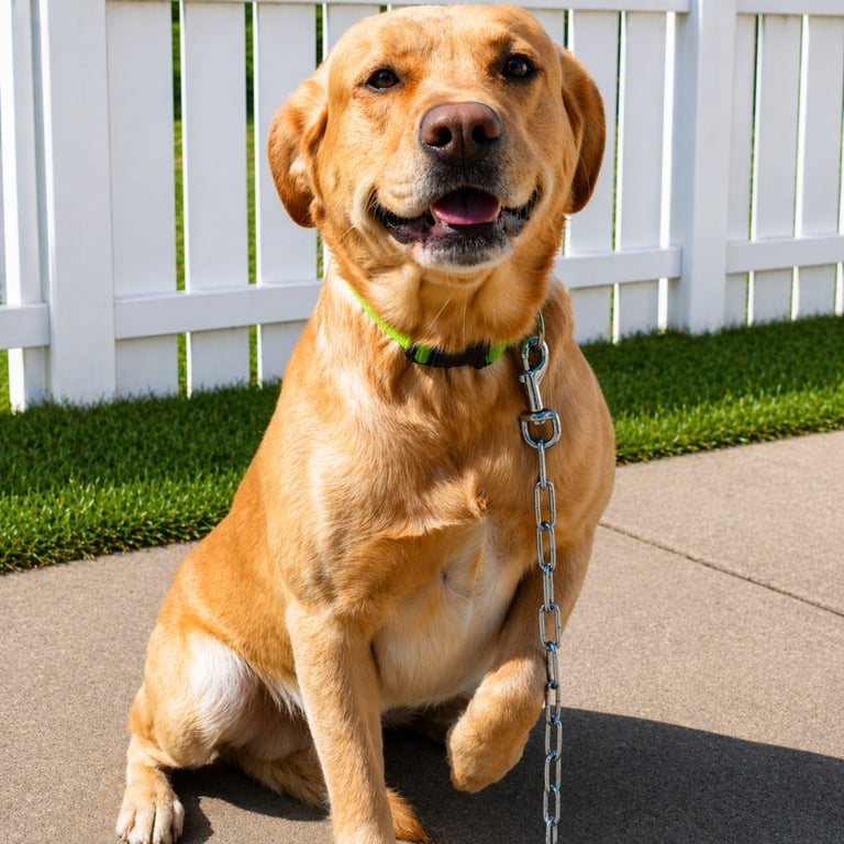 Peerless 20ft Heavy-Duty Dog Tie-Out Chain with Snaps photo 5