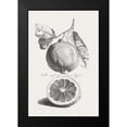 thumbnail image 2 of Unknown 17x24 Black Modern Framed Museum Art Print Titled - Antique Lemons and Oranges IV, 2 of 5