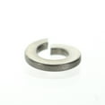 thumbnail image 2 of BRP 302290-PK Lockwasher for Boat - 5 Per Pack, 2 of 2