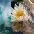 thumbnail image 3 of WoodWick Sea Spray Medium Hourglass Candle, 3 of 8