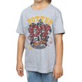 thumbnail image 3 of Harry Potter Girls Gryffindor Seeker Cotton T-Shirt, 3 of 5