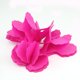 thumbnail image 2 of Advancent Herramienta de decoración de boda, fiesta, guirnalda de trébol de papel de trébol de cuatro hojas Kits de decoración para fiestas Rosa roja, 2 of 6