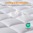 thumbnail image 2 of Fusion Twin XL Mattress Pad - Cooling Breathable Mattress Topper, Quilted Fitted Mattress Protector, Pillow Top Mattress Cover with 8-21" Deep Pocket, Soft, Machine Washable, White, Twin Extra Long, 2 of 8