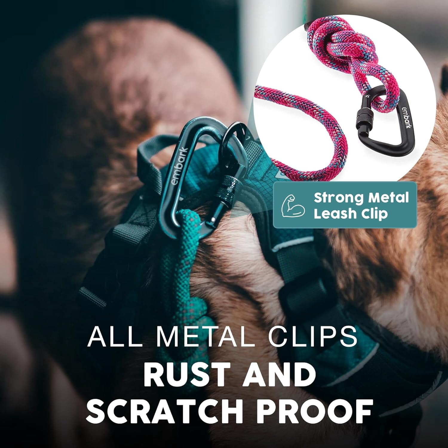 Embark Adventure Pro Leash with Mountain Climbing Rope and Carabiner. Unmatched Strength & Durability, 6ft, Colourful, and Sturdy Nylon Dog leashe for Small, Medium, Large Breed Dogs