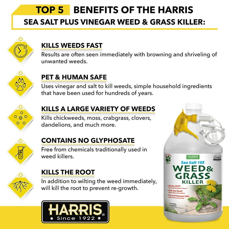 Harris Sea Salt 10X Weed & Grass Killer - Organic, Liquid - 1 Gallon (128OZ)