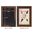 thumbnail image 4 of Bookplate Shells IV - Framed Print w/glass - Chestnut, 4 of 8