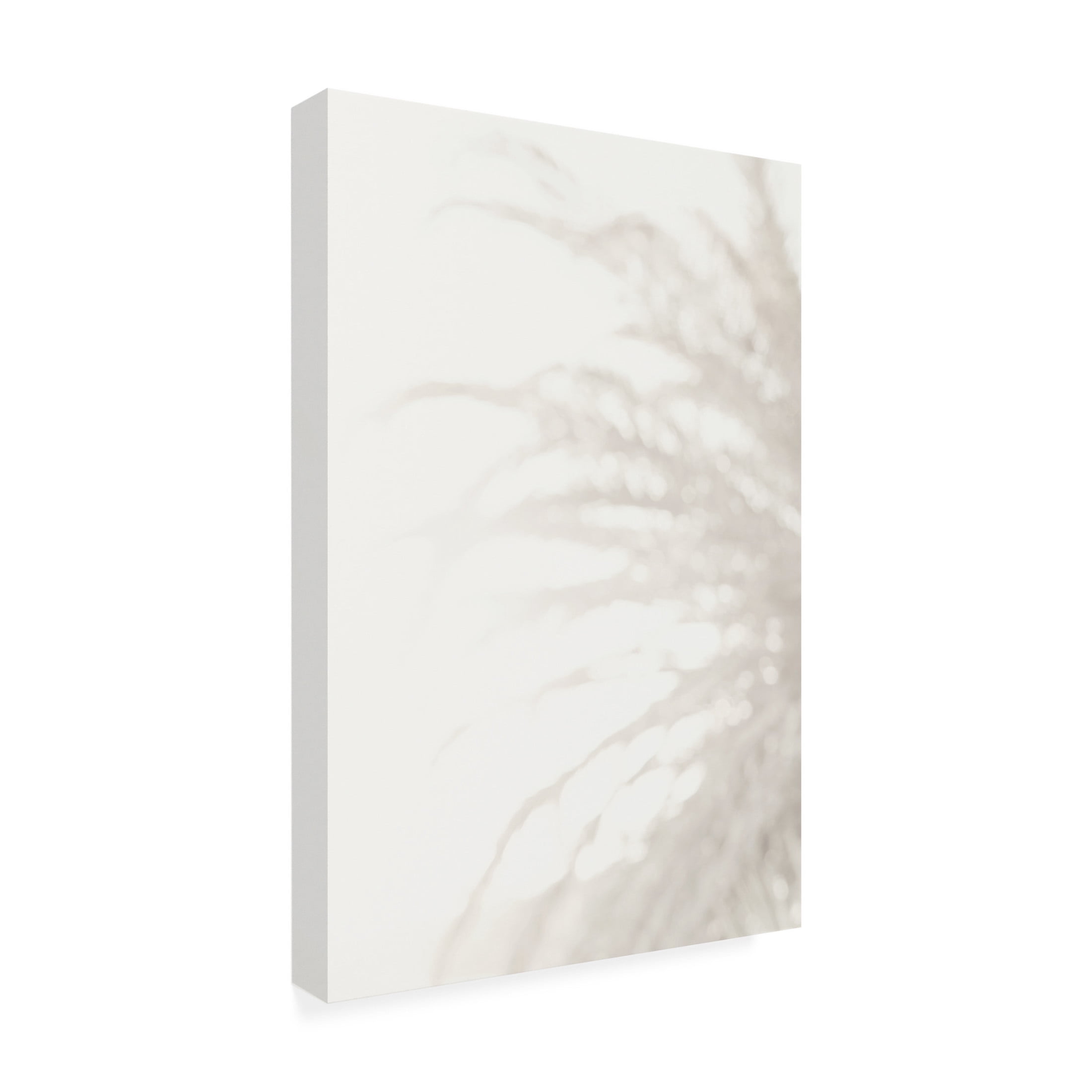 Trademark Fine Art Pictufy Studio III Palm 8 Canvas Wall Art