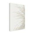 thumbnail image 3 of Trademark Fine Art Pictufy Studio III Palm 8 Canvas Wall Art, 3 of 4