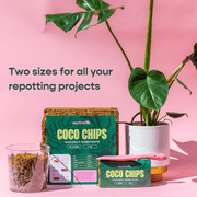 Southside Plants Coco Chips Compressed Coconut Substrate Soil, 5 kg