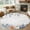 grey, variant on Entryway Rug 2x3 Ft,Sage Green Boho Non Slip Small Area Rugs for Front Door,American Native Southwest Abstract Art Washable Low Pile Accent Carpet Doormat for Indoor Entrance Kitchen Bathroom Doorway