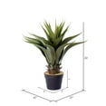 thumbnail image 2 of Vickerman 22" Artificial Green Potted Aloe Vera., 2 of 2
