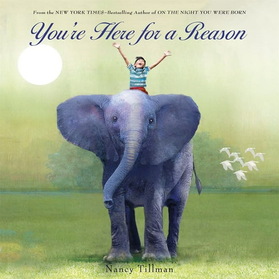 You're Here for a Reason (Board Book)