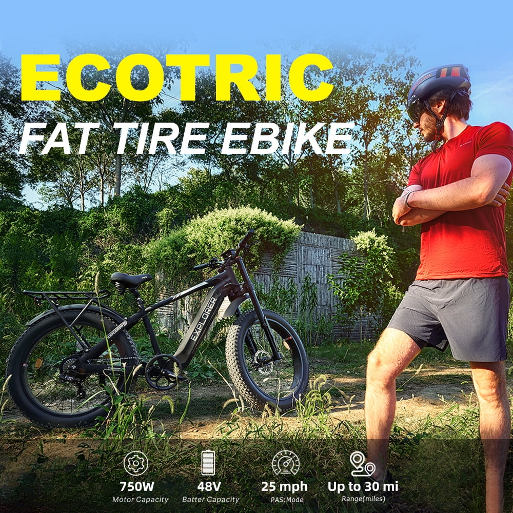 Ecotric swallow electric bike sale