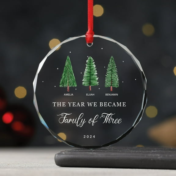 The Year We Became a Family of Three Ornament Personalized Family of 3 Christmas Keepsake with Names, First Holiday Together