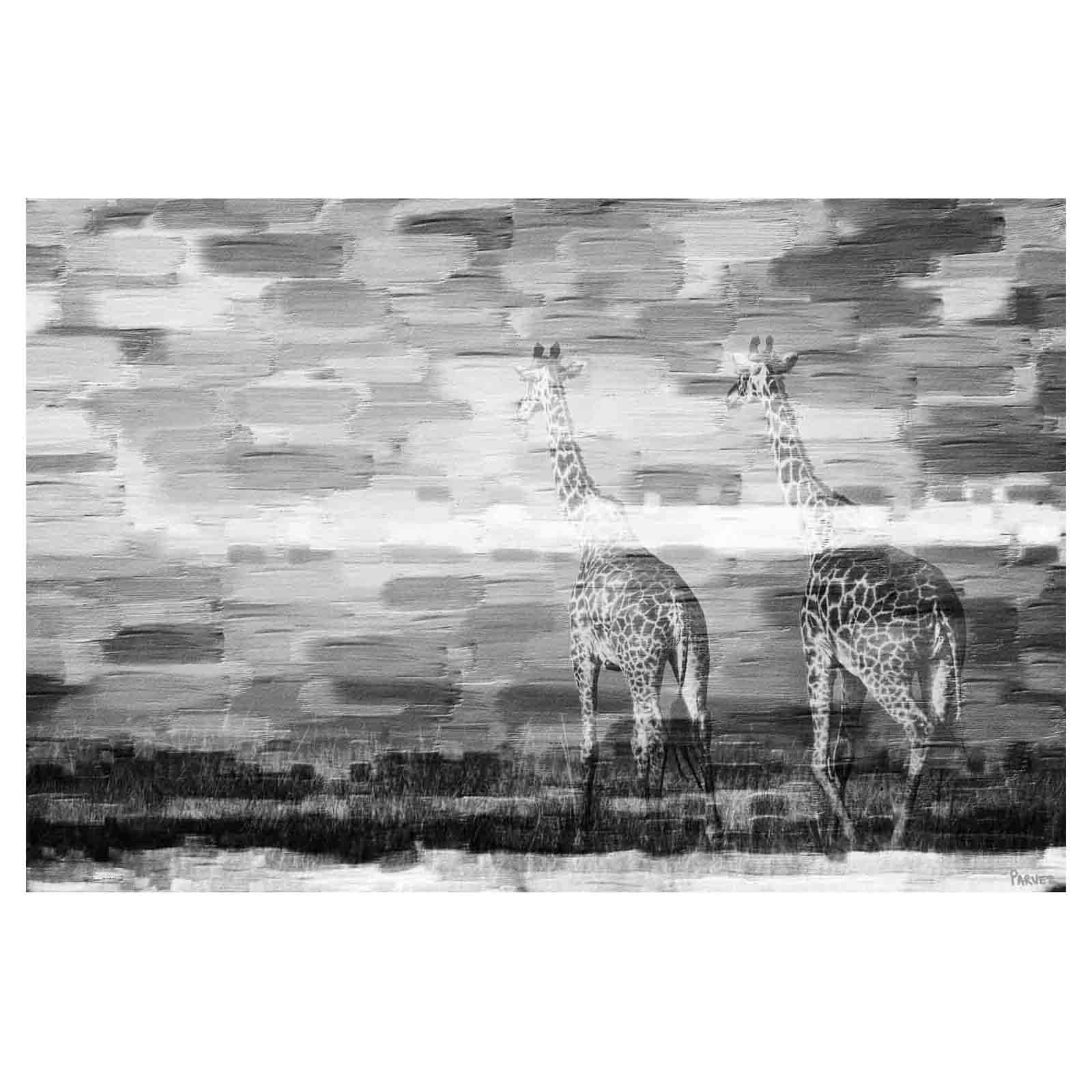 Parvez Taj "Giraffes" Print on Canvas