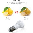 thumbnail image 2 of Ymam.Light R16 LED Light Bulb, 45W Equivalent Incandescent Lighting, 5W Dimmable E26 Base, 5000K Daylight, 120V, 4-Pack, 2 of 6