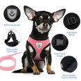 thumbnail image 3 of Arnés de malla ajustable de poliéster para gatos, chaleco para caminar, correa de plomo para cachorros, Collar para perros pequeños y medianos, accesorios para mascotas, 3 of 5