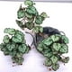 thumbnail image 5 of Cateissary Plantas De Terrario - Frescura Y Elegancia Para El Hogar Limpiar El Polvo Plantas Artificiales Decoración hoja de alumbre, 5 of 6