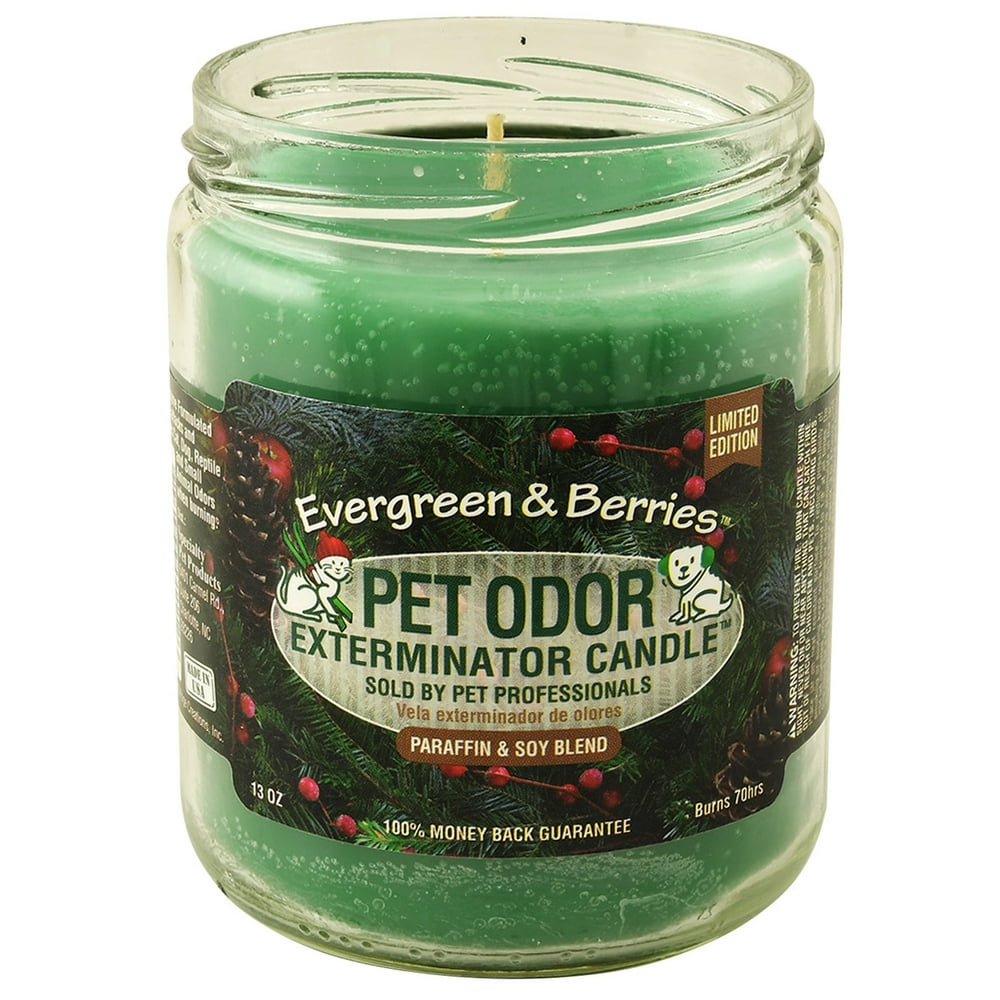 Pet Odor Exterminator Candle, Evergreen & Berries