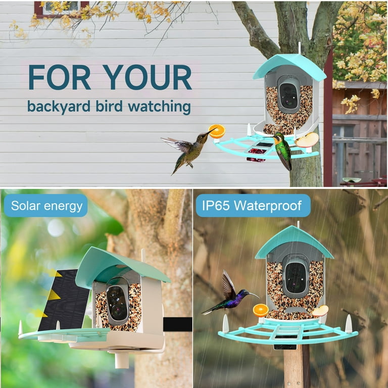 Bird Buddy camera-equipped bird feeder is 20% off