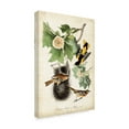 thumbnail image 2 of Trademark Fine Art 'Baltimore Oriole' Canvas Art by John James Audubon, 2 of 4