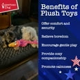 thumbnail image 4 of American Dog Flora the Flamingo – Durable Plush Dog Toy that Crinkles and is Made in USA from Pet-Safe, Machine-Washable Soft Minky Fleece Material with High Resistance to Wear, Tear, and Shrinkage, 4 of 6