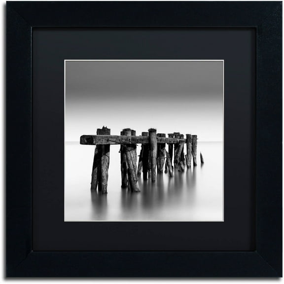 Trademark Fine Art "Weathered" Canvas Art by Dave MacVicar, Black Matte, Black Frame
