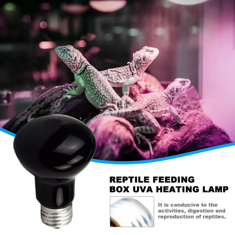 walmart reptile light