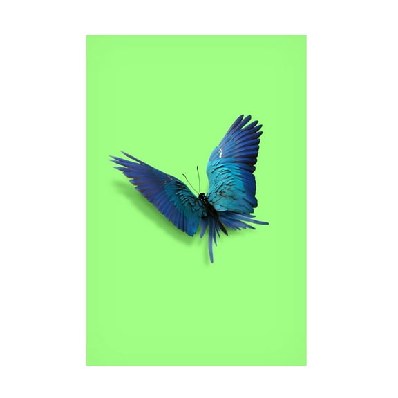 Trademark Fine Art Artem Pozdniakov  Parrot Butterfly Canvas Wall Art