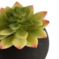 thumbnail image 3 of DesignOvation 4.25"H Tabletop Artificial Succulent in Black Textured Cement Pot, 3 of 8