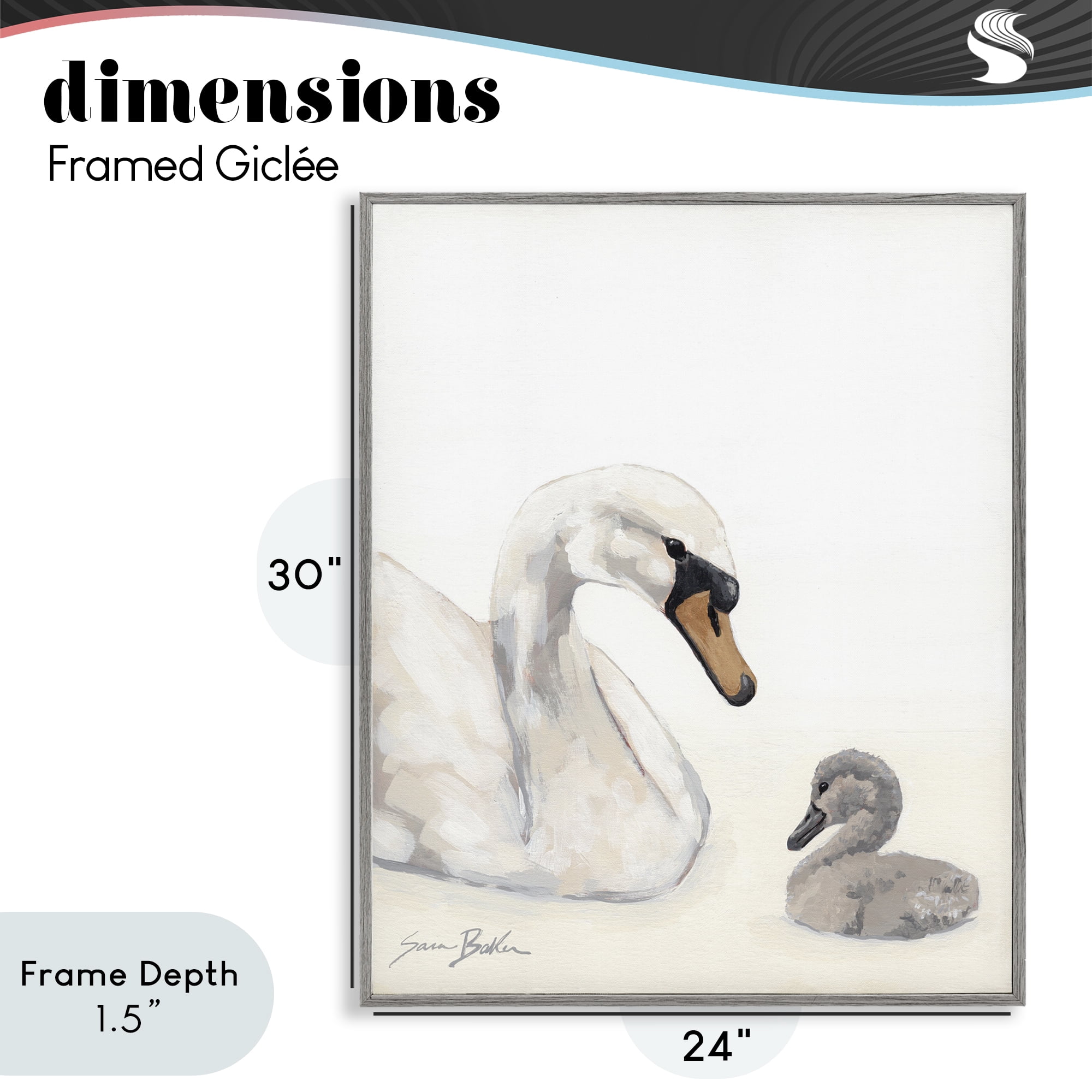 Stupell Industries Mother Swan & Cygnet Gray Framed Giclee Art, design by Sara Baker