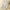 Beige, variant on Winter Savings Clearacne Women's Outerwear Vests Women's Autumn Cotton And Linen Loose Casual Vest With Pocket Vest