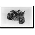 thumbnail image 2 of Historic Framed Print, [Head-and-shoulders portraits of William McKinley and Theodore Roosevelt and eagle with two U.S. flags], 17-7/8" x 21-7/8", 2 of 9