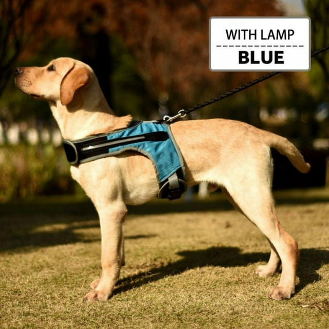 EIMELI K-shaped Luminous LED Harness For Pet Dog Chest Harness For Medium And Large Dogs Night Travel