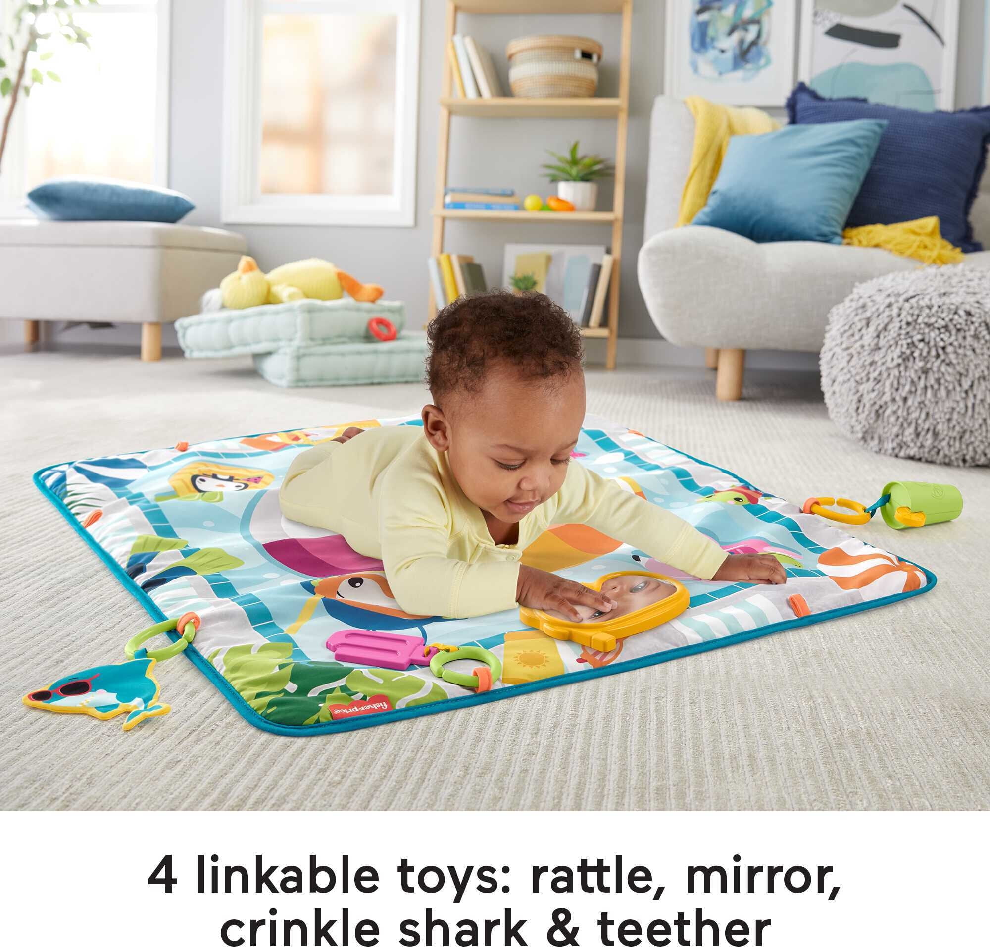 Fisher-Price On-the-Go Activity Throw 