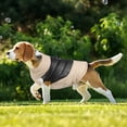 thumbnail image 2 of Thick Warm Dog Windproof Vest - Insulated, Comfortable Fit, Durable, Machine Washable, Perfect Winter Apparel for Dogs, 2 of 6